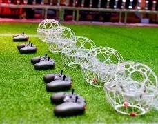 揭秘金胆秘,年第,期彩票,广东体彩,广东体彩网,广东体彩网官网,体育彩票,体彩大乐透,竞彩足球,体彩公益