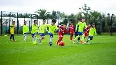 【勇闯彩坛】揭秘2026017期双色球绝密蓝球预测：独中三元，速抢04、06、08！