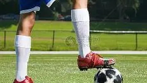 【金犬旺运】狗年26034期排列三全攻略，六码组选激战来袭，邀您共谋财富之道！