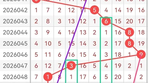 排列三2026060期专家推荐直选555，冷热号预测助力中奖